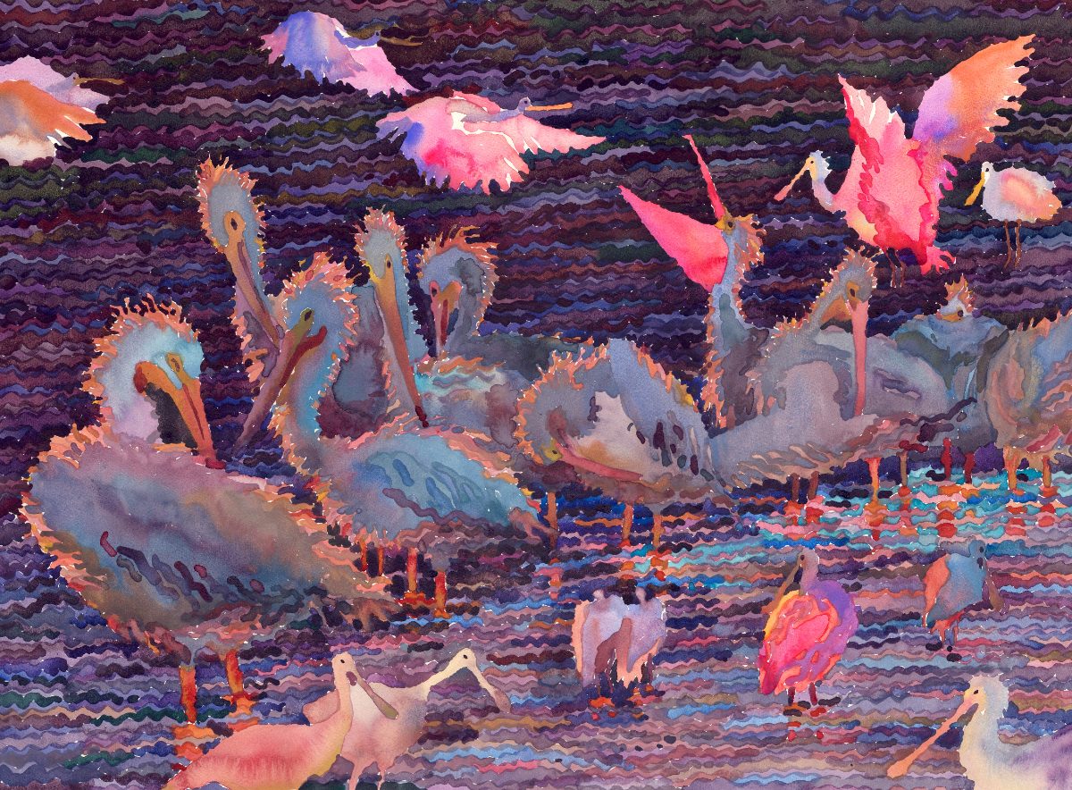 Original: Everglades National Park