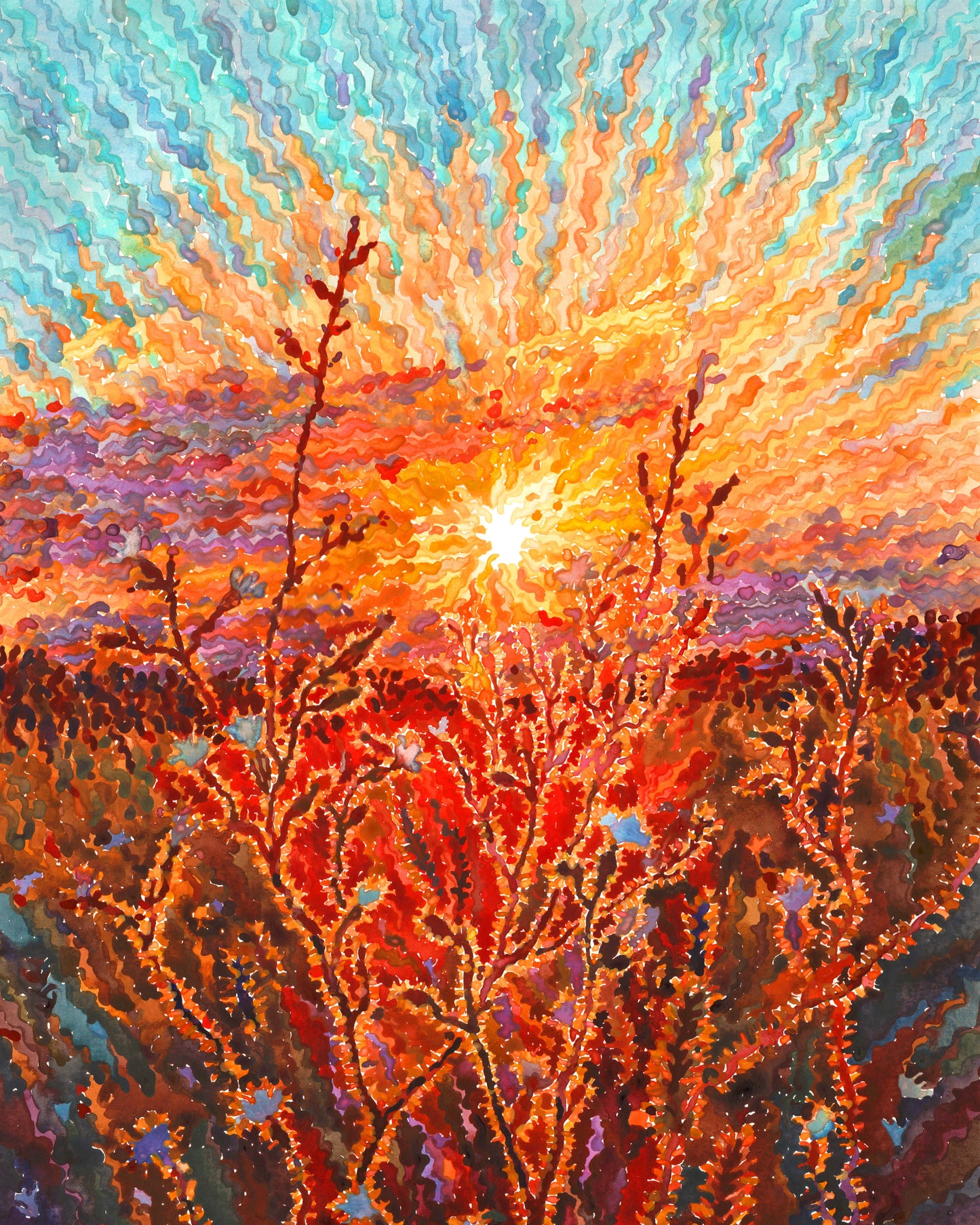 White Campion Flowers on the Sunset