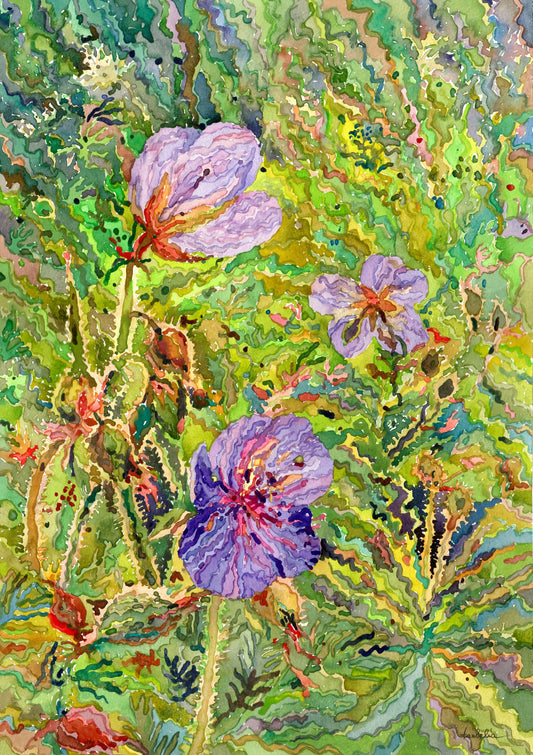 Geranium Flowers