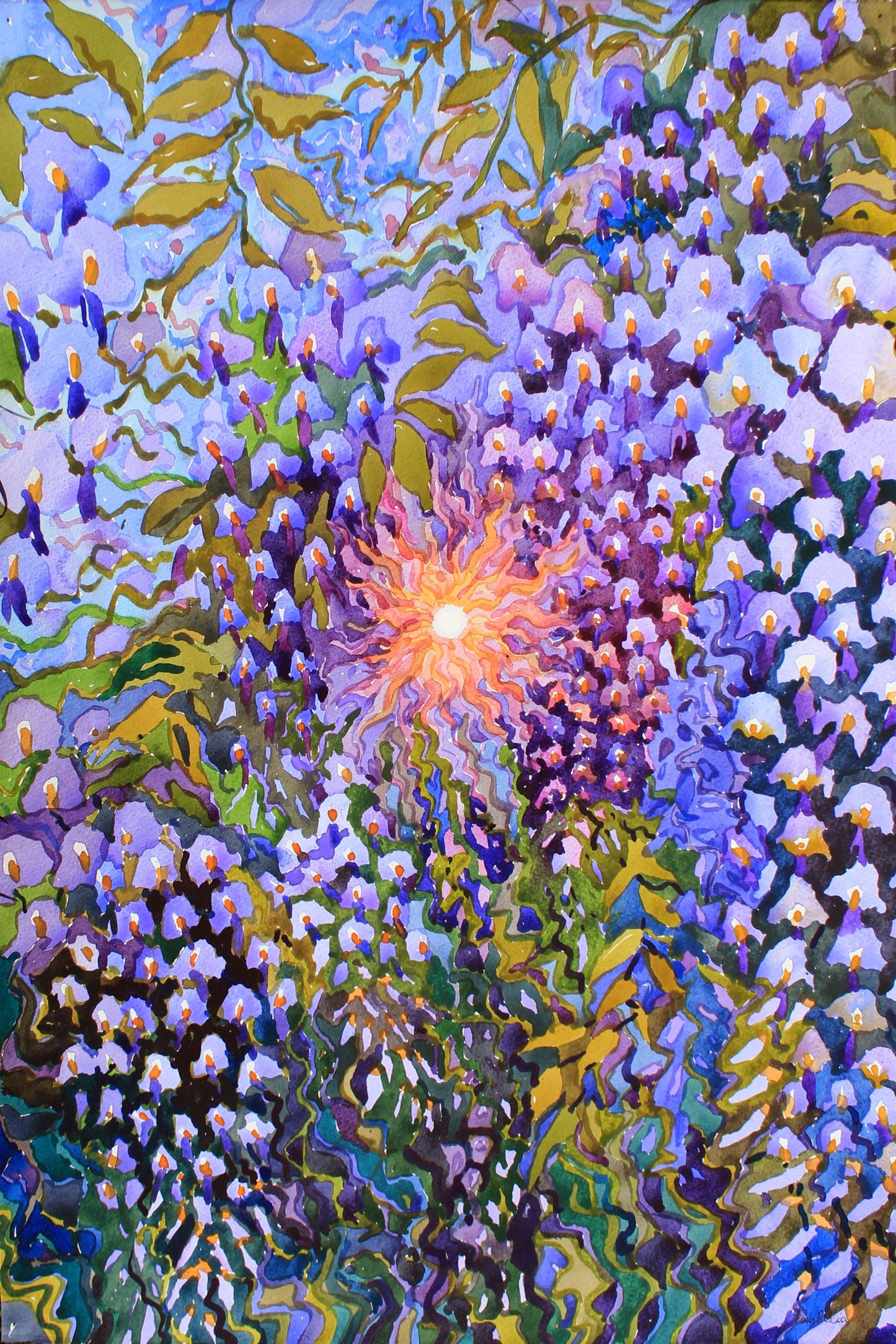 Wisteria Flowers