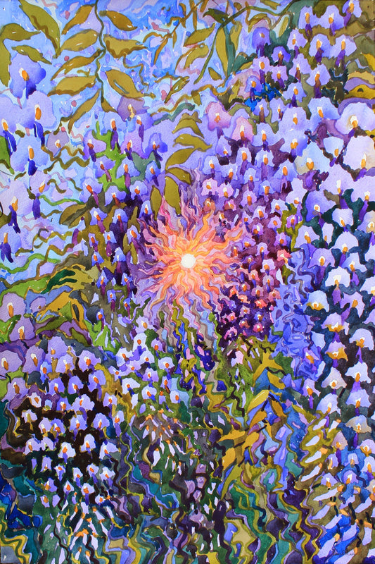 Wisteria Flowers
